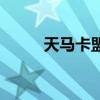 天馬卡盟（關于天馬卡盟的介紹）