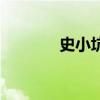 史小坑（關于史小坑的介紹）