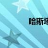 哈斯塔（關于哈斯塔的介紹）