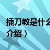 插刀教是什么意思（關于插刀教是什么意思的介紹）