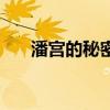 潘宮的秘密（關于潘宮的秘密的介紹）