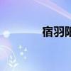 宿羽陽（關于宿羽陽的介紹）
