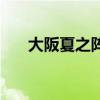 大阪夏之陣（關于大阪夏之陣的介紹）