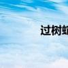 過樹蛇（關于過樹蛇的介紹）