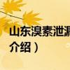 山東溴素泄漏事件（關于山東溴素泄漏事件的介紹）