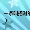 一條叫招財的魚（關于一條叫招財的魚的介紹）