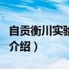 自貢衡川實驗學校（關于自貢衡川實驗學校的介紹）