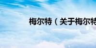 梅爾特(關于梅爾特的介紹)