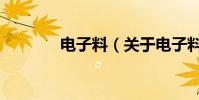 電子料(關于電子料的介紹)