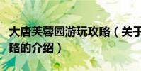 大唐芙蓉園游玩攻略(關于大唐芙蓉園游玩攻略的介紹)