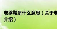 老爹鞋是什么意思(關于老爹鞋是什么意思的介紹)