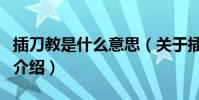 插刀教是什么意思(關于插刀教是什么意思的介紹)