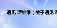 遇見 譚維維(關于遇見 譚維維的介紹)