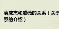 袁成杰和戚薇的關系(關于袁成杰和戚薇的關系的介紹)