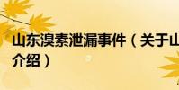 山東溴素泄漏事件(關于山東溴素泄漏事件的介紹)