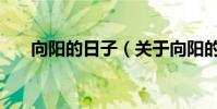 向陽的日子(關于向陽的日子的介紹)