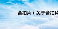 合拍片(關于合拍片的介紹)