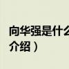 向華強是什么人物（關于向華強是什么人物的介紹）