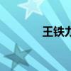 王鐵力（關于王鐵力的介紹）