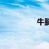 牛腱（關于牛腱的介紹）