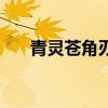 青靈蒼角刃（關于青靈蒼角刃的介紹）