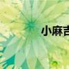 小麻吉（關于小麻吉的介紹）