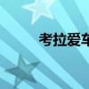 考拉愛車（關于考拉愛車的介紹）