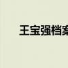 王寶強檔案（關于王寶強檔案的介紹）