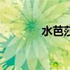 水芭莎（關于水芭莎的介紹）