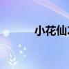 小花仙2（關于小花仙2的介紹）