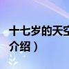 十七歲的天空插曲（關于十七歲的天空插曲的介紹）