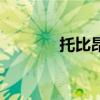 托比昂（關于托比昂的介紹）