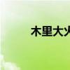 木里大火（關于木里大火的介紹）