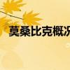 莫桑比克概況（關于莫桑比克概況的介紹）