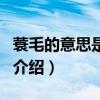 蓑毛的意思是什么（關于蓑毛的意思是什么的介紹）