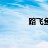 路飛魚（關于路飛魚的介紹）