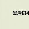 黑澤良平（關于黑澤良平的介紹）