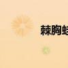 棘胸蛙（關于棘胸蛙的介紹）