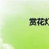 賞花燈（關于賞花燈的介紹）