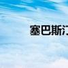 塞巴斯汀（關于塞巴斯汀的介紹）