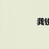 龔銳（關于龔銳的介紹）