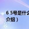 6 5號是什么節日（關于6 5號是什么節日的介紹）