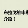布拉戈維申斯克市（關于布拉戈維申斯克市的介紹）