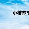 小桔養車（關于小桔養車的介紹）