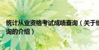 統計從業資格考試成績查詢(關于統計從業資格考試成績查詢的介紹)