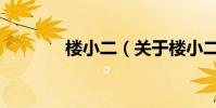 樓小二(關于樓小二的介紹)