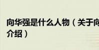 向華強是什么人物(關于向華強是什么人物的介紹)