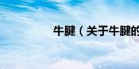 牛腱(關于牛腱的介紹)