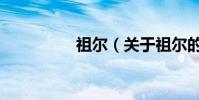 祖爾(關于祖爾的介紹)