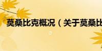 莫桑比克概況(關于莫桑比克概況的介紹)